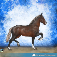 Horse Color:Liver Chestnut Mushroom Rabicano 