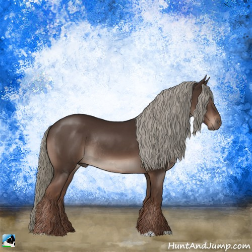 Horse Color:Liver Chestnut Mushroom Rabicano 