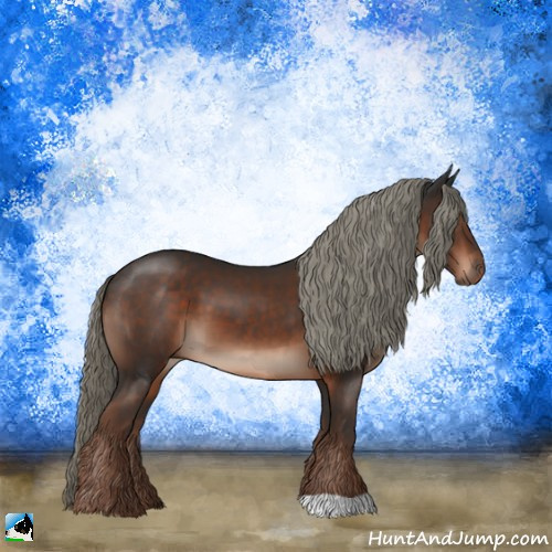 Horse Color:Liver Chestnut Mushroom 