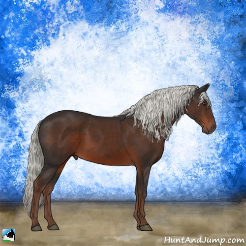 Horse Color:Liver Chestnut Mushroom Rabicano 