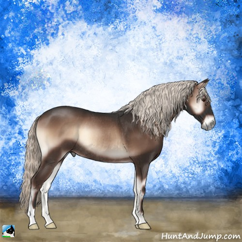 Horse Color:Liver Red Onyx Mushroom Rabicano 