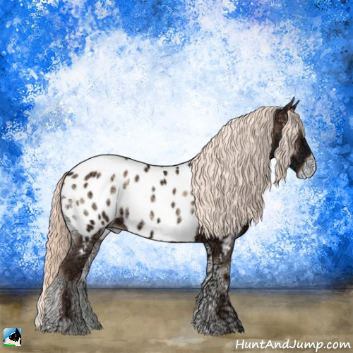Horse Color:Liver Red Onyx Ice Mushroom Appaloosa Rabicano 