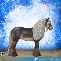 Horse Color:Liver Chestnut Mushroom 