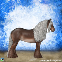 Horse Color:Liver Chestnut Mushroom 