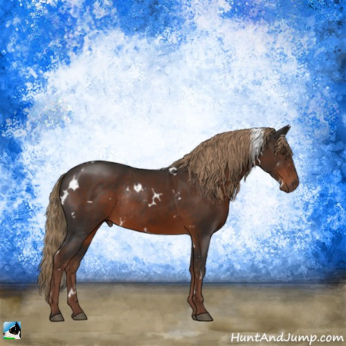 Horse Color:White Spotted Liver Chestnut Rabicano 