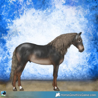 Horse Color:Gray Liver Chestnut Mushroom Rabicano 