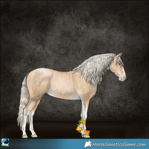 Horse Color:Chocolate Palomino Pearl Tobiano Frame and Palomino Pearl Tobiano Frame