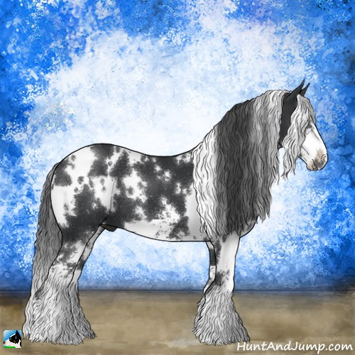 Horse Color:White Spotted Black Sabino 