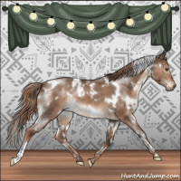 Horse Color:White Spotted Liver Red Dun Brindle 