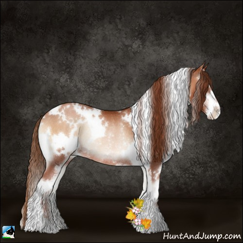 Horse Color:White Spotted Brown Pearl Onyx Sabino Rabicano 