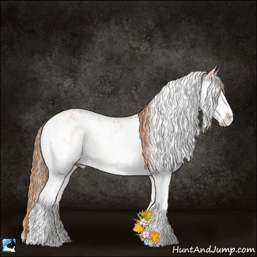 Horse Color:Bay Pearl Onyx Sabino 