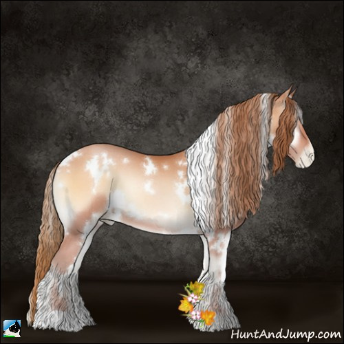 Horse Color:White Spotted Bay Pearl Onyx 