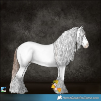 Horse Color:Bay Pearl Onyx Sabino Rabicano 