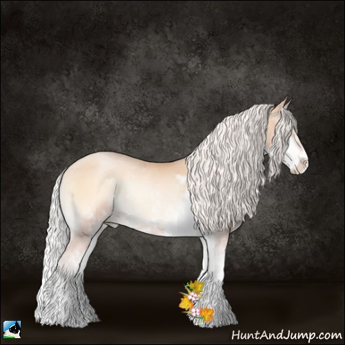 Horse Color:Silver Amber Champagne Pearl Onyx Sabino Rabicano 