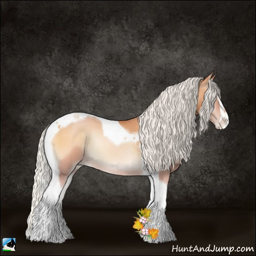 Horse Color:Silver Bay Pearl Onyx Sabino Tobiano Rabicano 