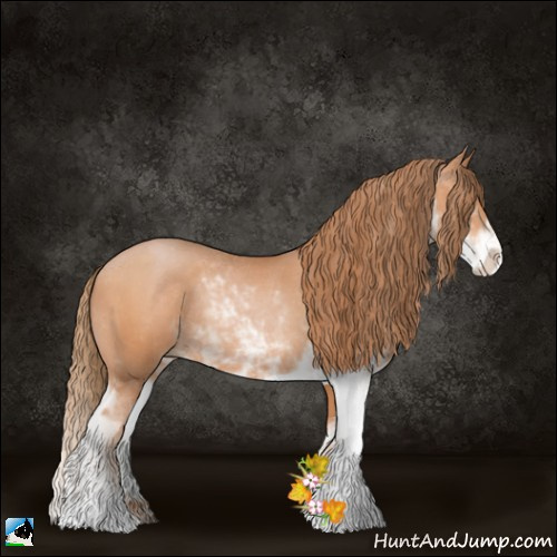 Horse Color:Bay Pearl Sabino Rabicano 