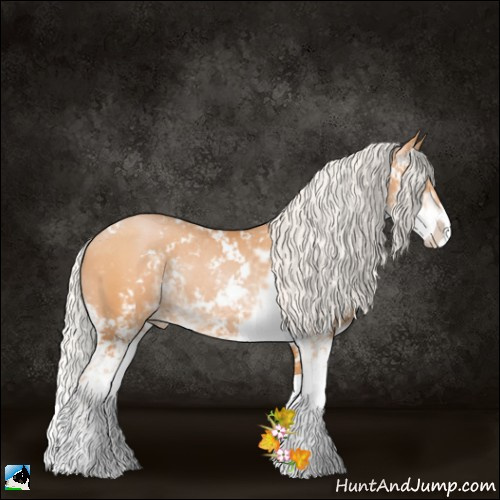 Horse Color:Silver Bay Pearl Sabino Rabicano 