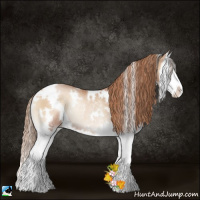 Horse Color:White Spotted Blue Onyx Pearl Splash Rabicano