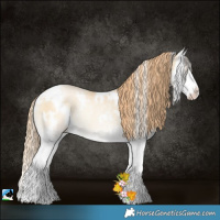 Horse Color:White Spotted Blue Onyx Snowdrop Pearl Splash Rabicano 