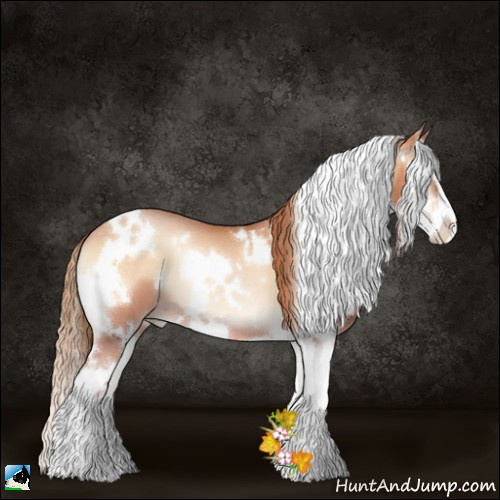 Horse Color:White Spotted Bay Pearl Onyx Sabino 