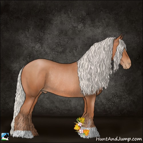 Horse Color:Silver Brown Pearl Rabicano 