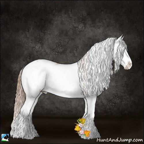 Horse Color:Blue Onyx Pearl Sabino Splash Rabicano 