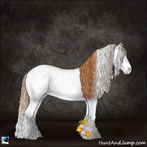 Horse Color:Bay Pearl Onyx Sabino Rabicano 