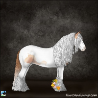 Horse Color:Bay Pearl Onyx Splash Tobiano Rabicano