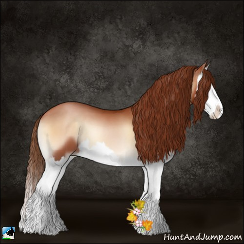 Horse Color:Bay Pearl Onyx Splash 