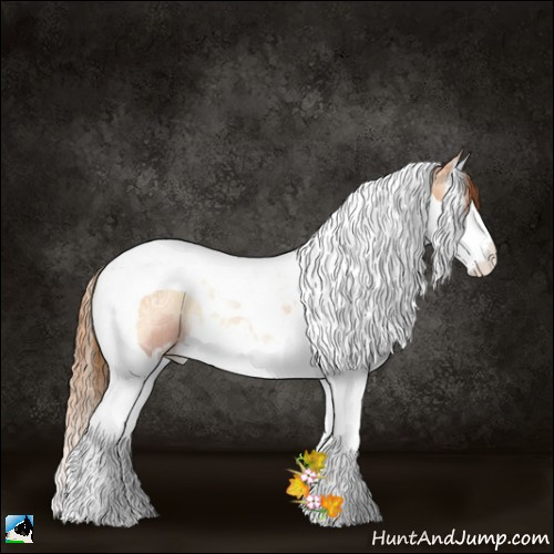 Horse Color:Bay Ice Pearl Onyx Sabino Splash Tobiano Rabicano 