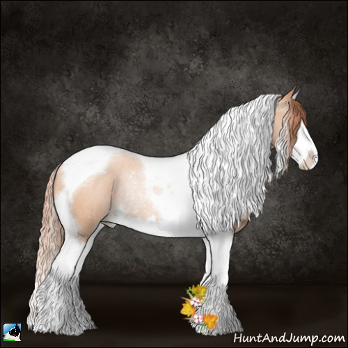 Horse Color:Amber Champagne Pearl Sabino Splash Tobiano Rabicano 