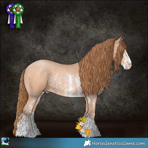 Horse Color:Bay Pearl Sabino Rabicano 