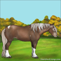 Horse Color:Gray Silver Black Pearl Tobiano