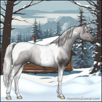 Horse Color:Liver Red Roan Mushroom Tobiano Rabicano 