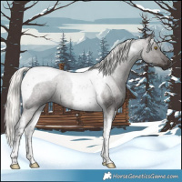 Horse Color:Liver Red Roan Mushroom Tobiano Rabicano 