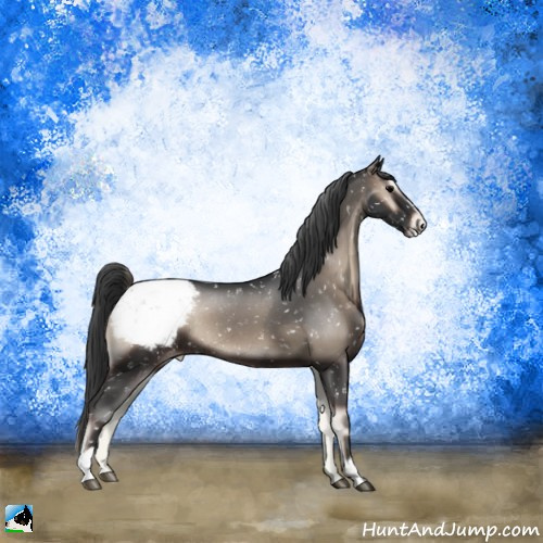 Horse Color:Blue Onyx Sabino Appaloosa Rabicano 