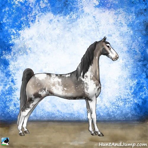 Horse Color:Blue Onyx Mushroom Sabino Appaloosa 
