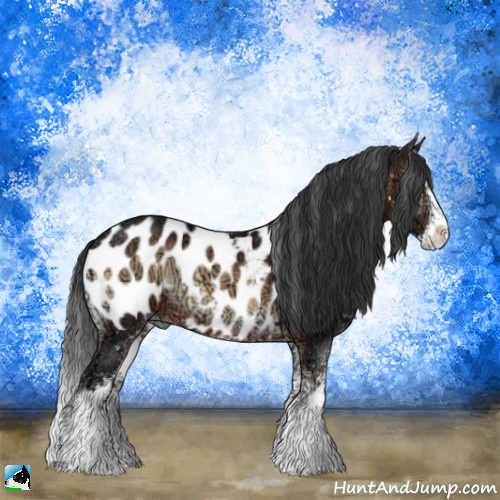 Horse Color:Brown Ice Onyx Sabino Appaloosa 