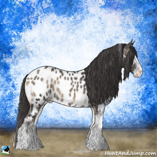 Horse Color:Smoky Blue Onyx Sabino Appaloosa 