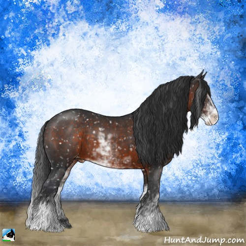 Horse Color:Brown Sabino Appaloosa 