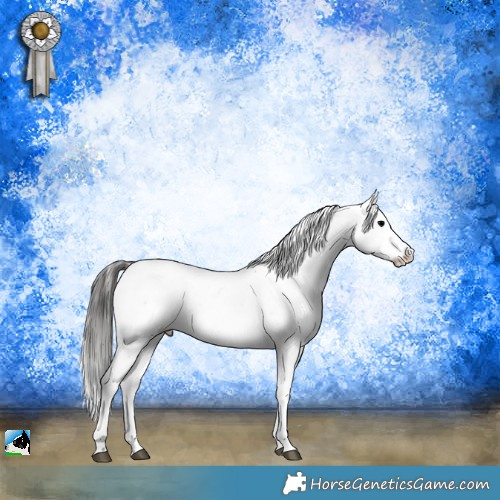 Horse Color:Blue Onyx Sabino Appaloosa Rabicano 