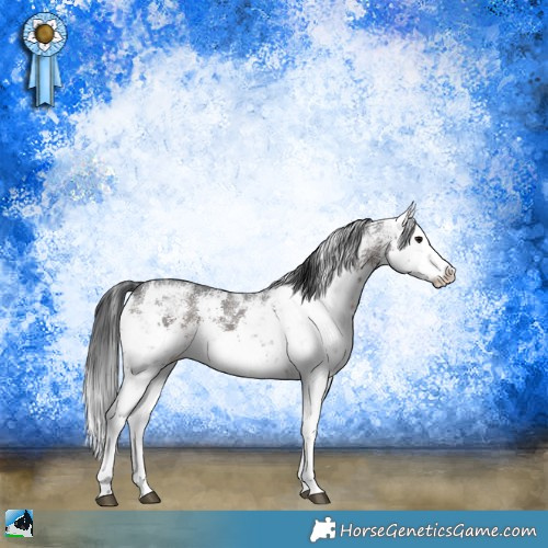Horse Color:White Spotted Brown Sabino 