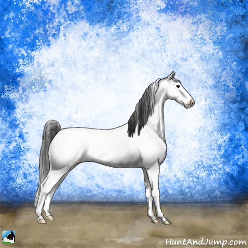 Horse Color:Blue Onyx Sabino Appaloosa 