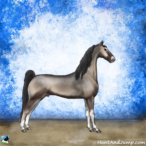 Horse Color:Blue Onyx Sabino Rabicano 
