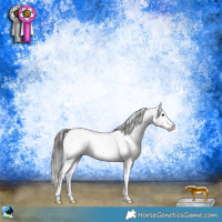 Horse Color:Black Sabino Snowcap Rabicano 