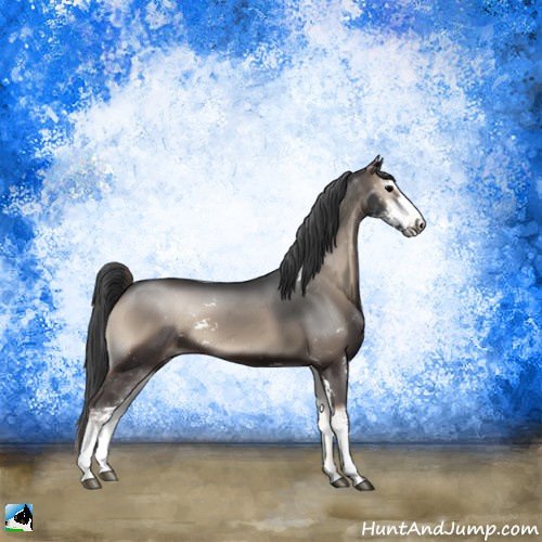 Horse Color:Blue Onyx Sabino Rabicano 