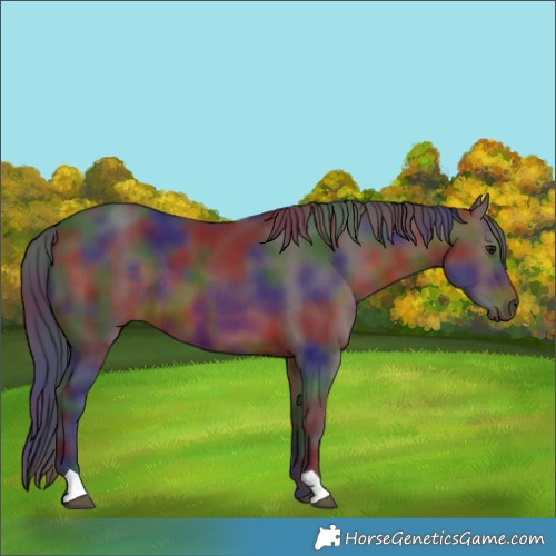 Horse Color:Nacre Brown 