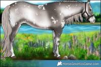 Horse Color:Platinum White Spotted Liver Red Onyx Sabino Rabicano 