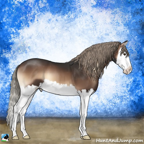 Horse Color:Liver Red Onyx Mushroom Splash 