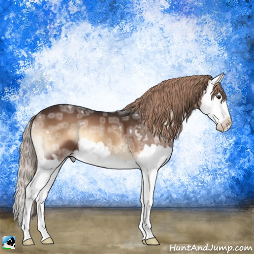 Horse Color:Liver Red Onyx Ice Splash 